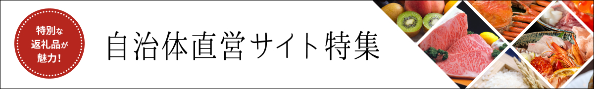 自治体直営サイト特集